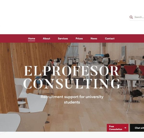 ElProfesor Consulting