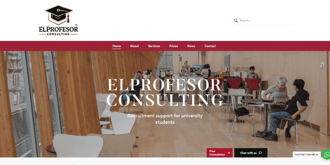 ElProfesor Consulting