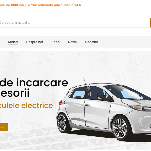 Electricars 1
