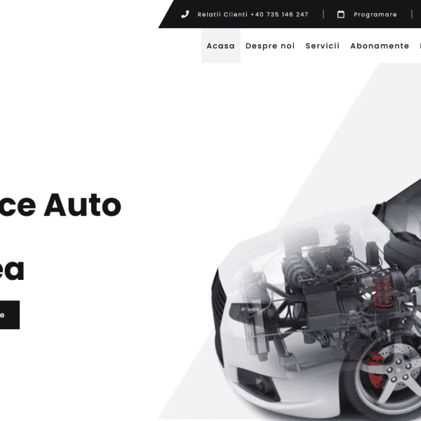 Service Auto Tulcea 1