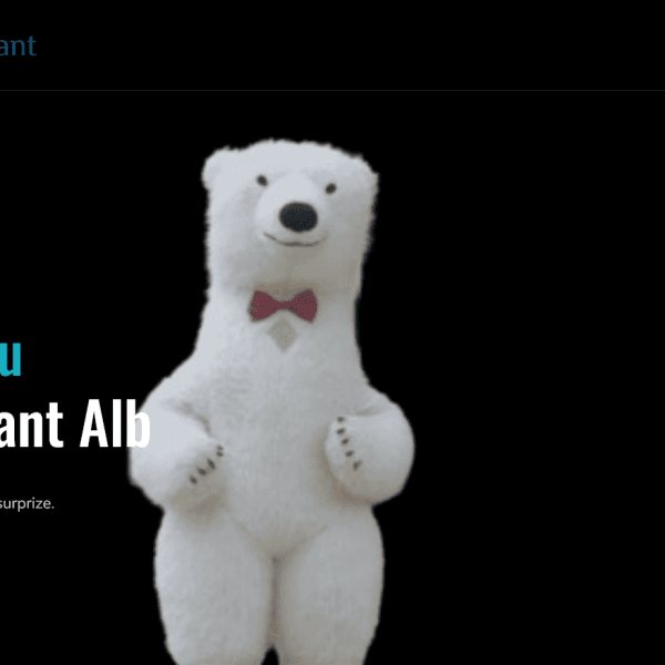 Surprize cu Ursul Gigant 1