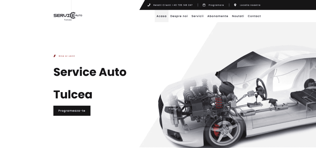 Service Auto Tulcea 1