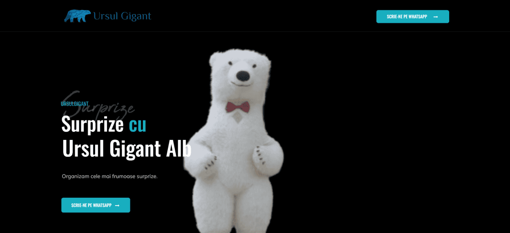 Surprize cu Ursul Gigant 1